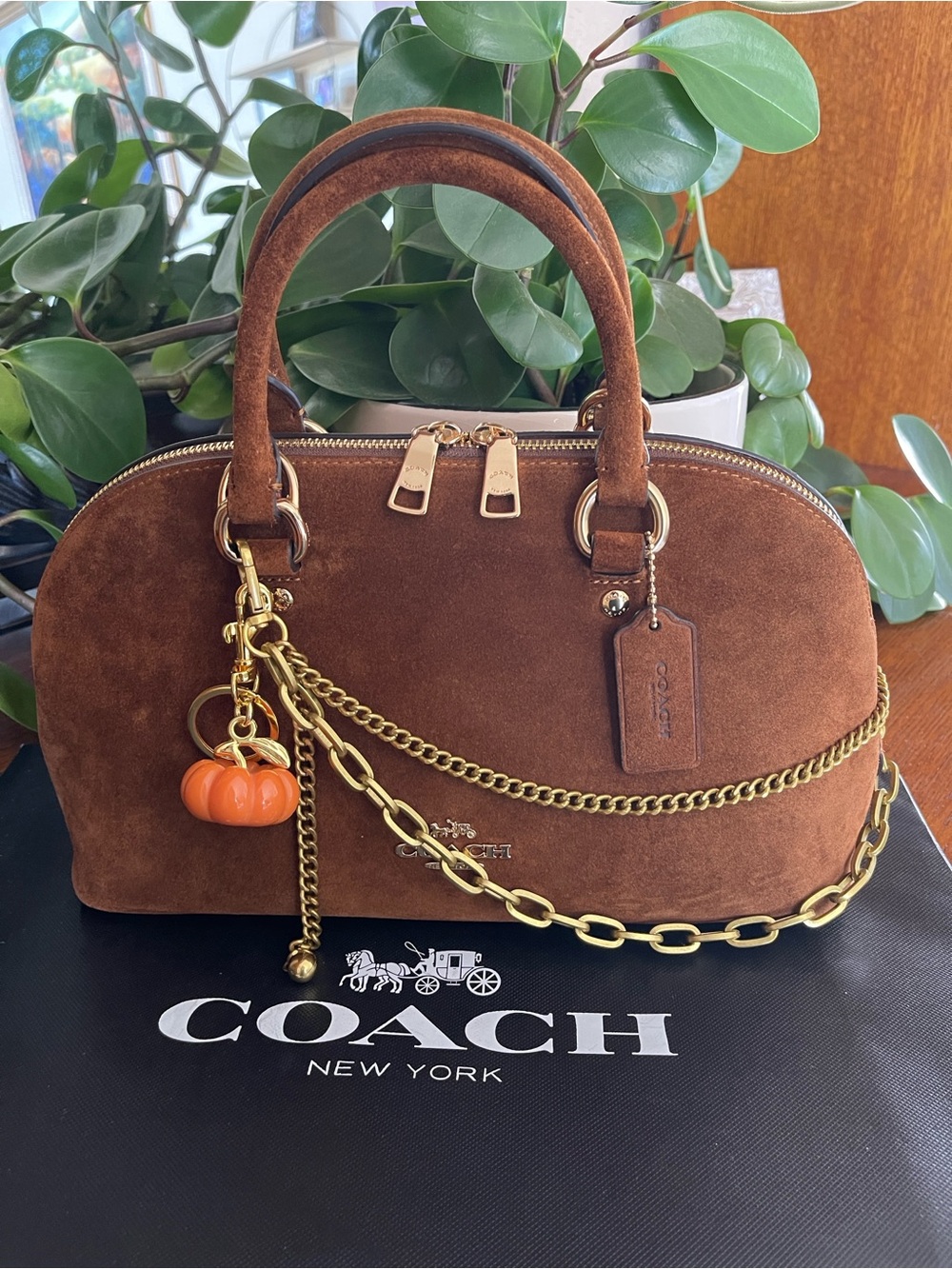 NWT COACH Lara Satchel Bag in Warm Brown Suede
